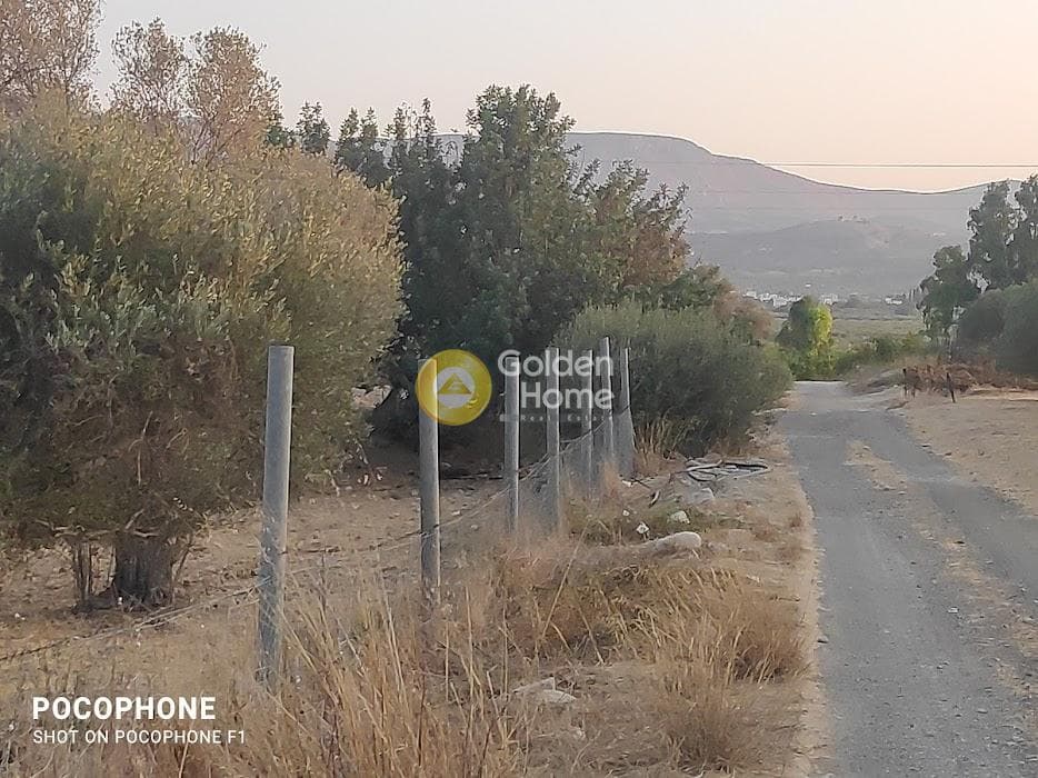 Parcel in Moni Kalivianis, Moires — Photo 12 of 34