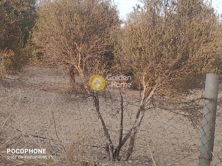 Parcel in Moni Kalivianis, Moires — Photo 13 of 34