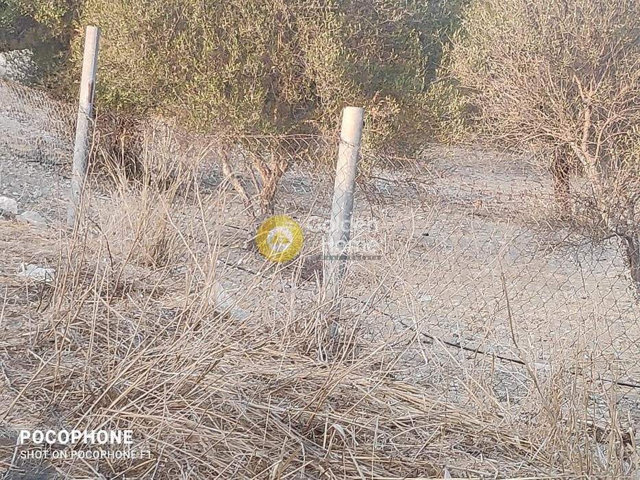 Parcel in Moni Kalivianis, Moires — Photo 15 of 34