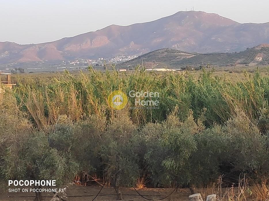 Parcel in Moni Kalivianis, Moires — Photo 18 of 34