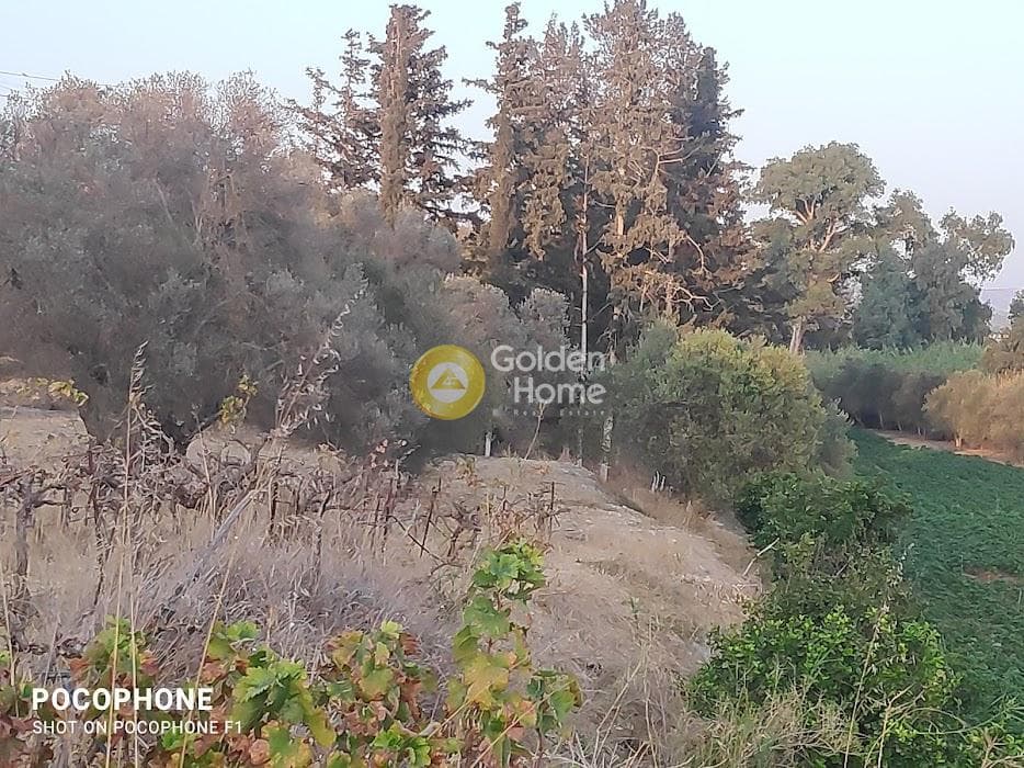 Parcel in Moni Kalivianis, Moires — Photo 19 of 34