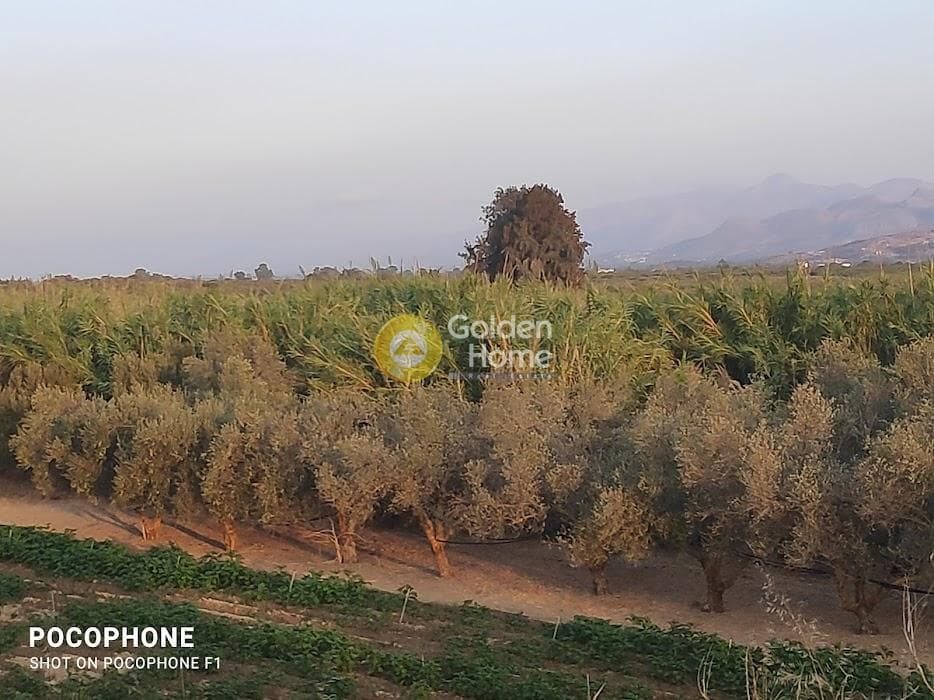Parcel in Moni Kalivianis, Moires — Photo 20 of 34