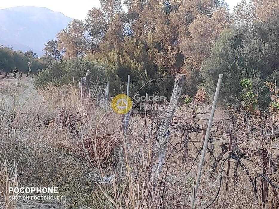 Parcel in Moni Kalivianis, Moires — Photo 21 of 34