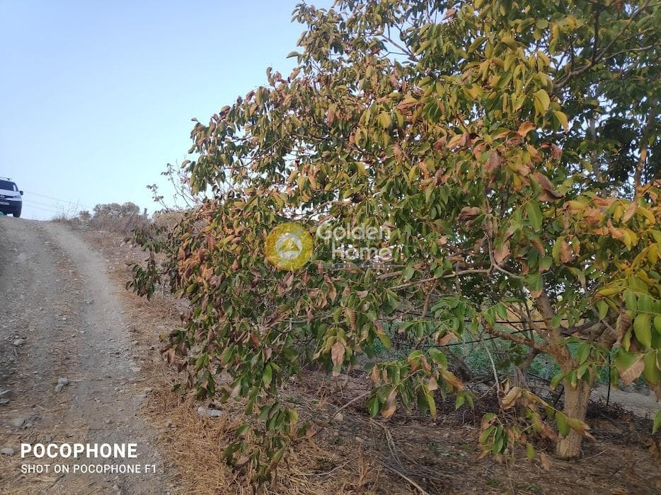 Parcel in Moni Kalivianis, Moires — Photo 24 of 34