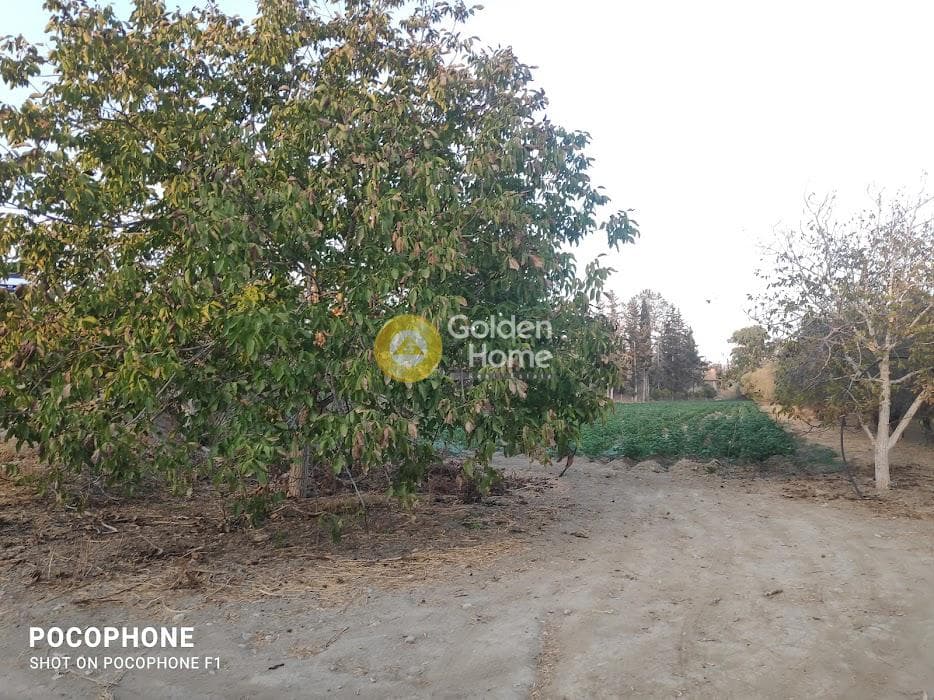 Parcel in Moni Kalivianis, Moires — Photo 25 of 34