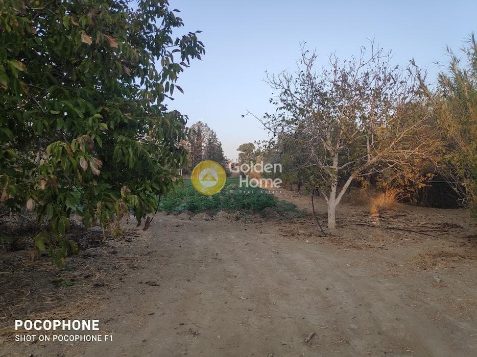 Parcel in Moni Kalivianis, Moires — Photo 26 of 34