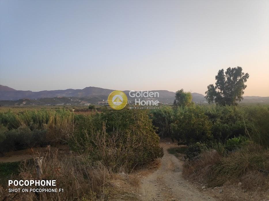 Parcel in Moni Kalivianis, Moires — Photo 27 of 34