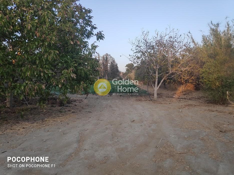 Parcel in Moni Kalivianis, Moires — Photo 29 of 34