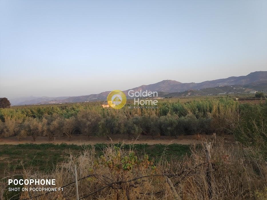 Parcel in Moni Kalivianis, Moires — Photo 31 of 34