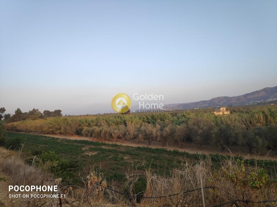 Parcel in Moni Kalivianis, Moires — Photo 32 of 34