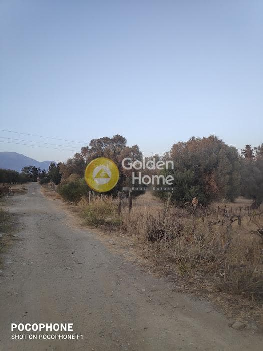 Parcel in Moni Kalivianis, Moires — Photo 33 of 34