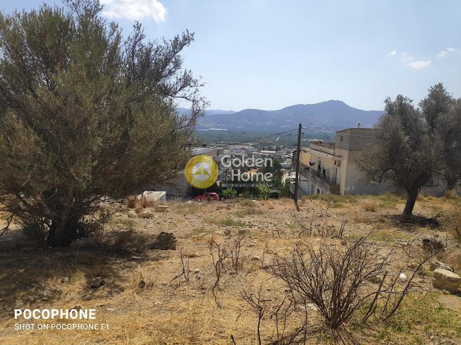 Parcel in Kappariana, Moires — Photo 5 of 19