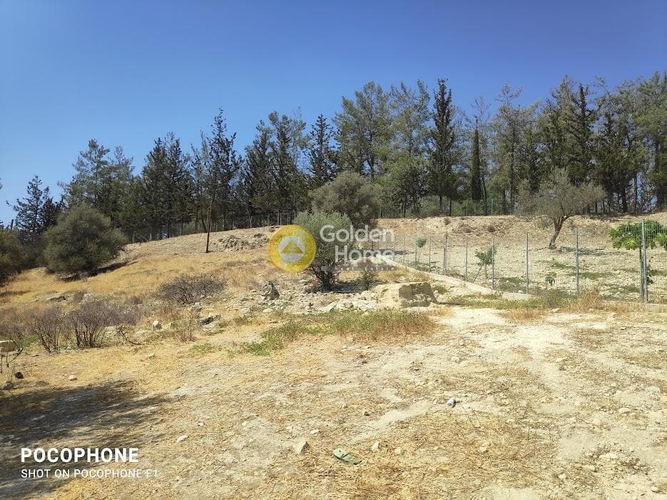 Parcel in Kappariana, Moires — Photo 11 of 19