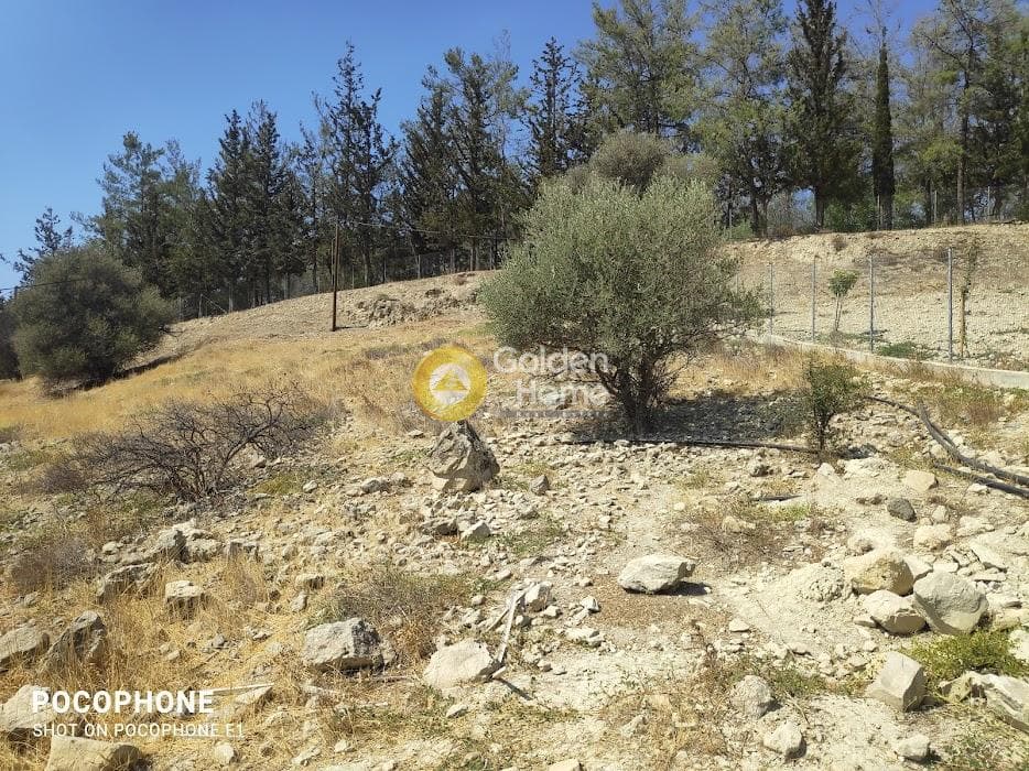 Parcel in Kappariana, Moires — Photo 18 of 19