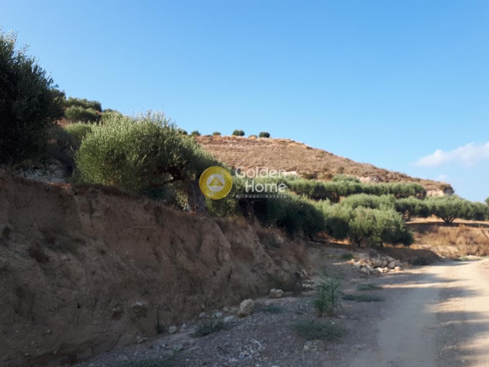 Parcel in Voros, Gouves — Photo 9 of 10