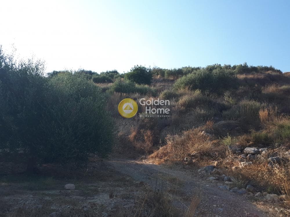 Parcel in Voros, Gouves — Photo 10 of 10