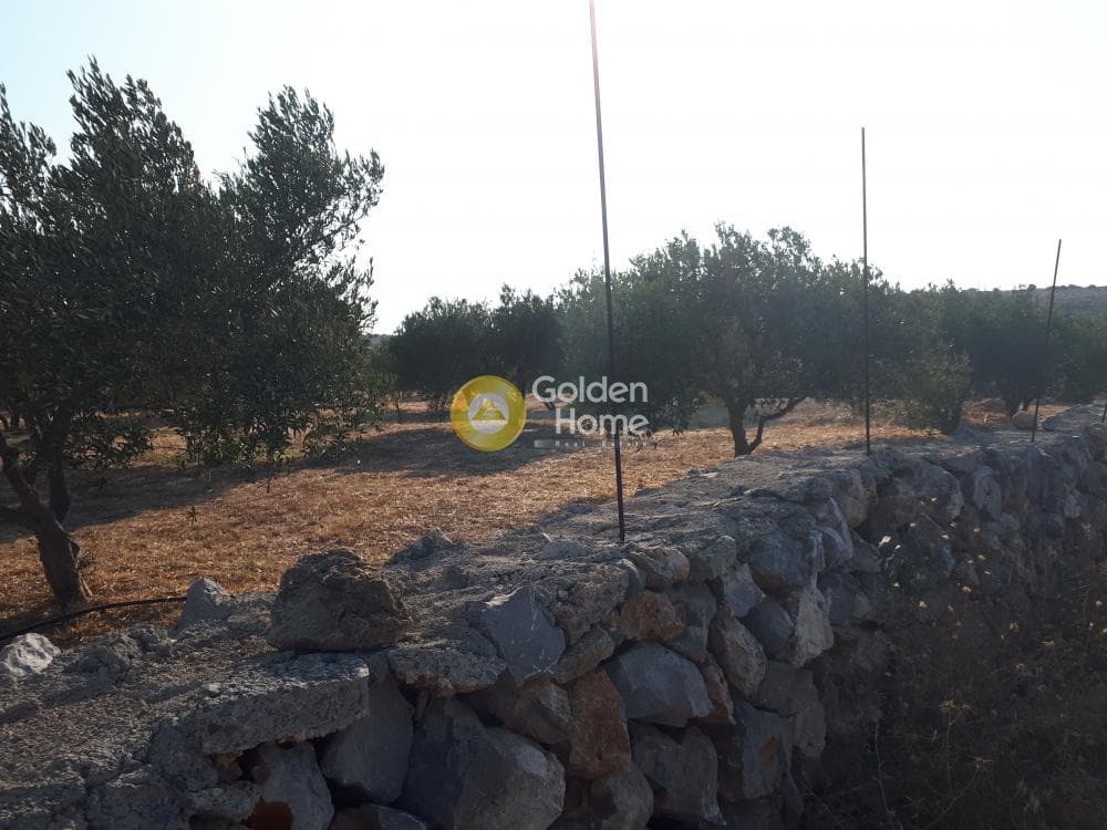 Οικόπεδο στην Σκοτεινό, Γούβες — Φωτογραφία 1 από 18