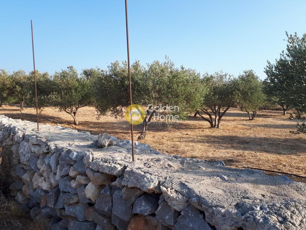 Οικόπεδο στην Σκοτεινό, Γούβες — Φωτογραφία 2 από 18