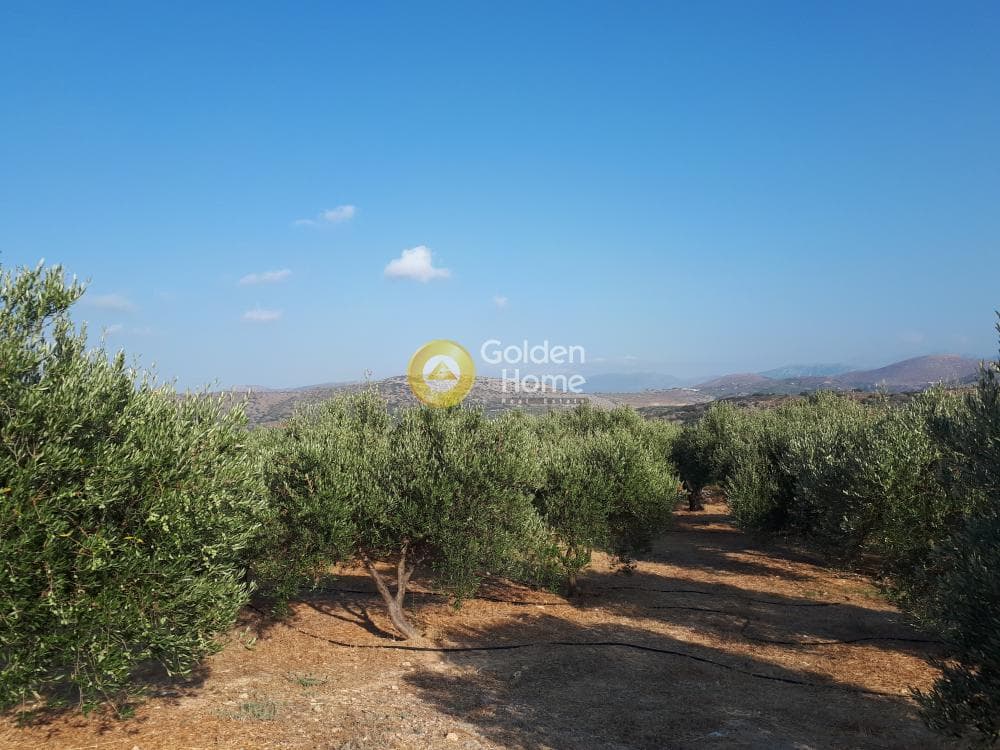 Οικόπεδο στην Σκοτεινό, Γούβες — Φωτογραφία 4 από 18
