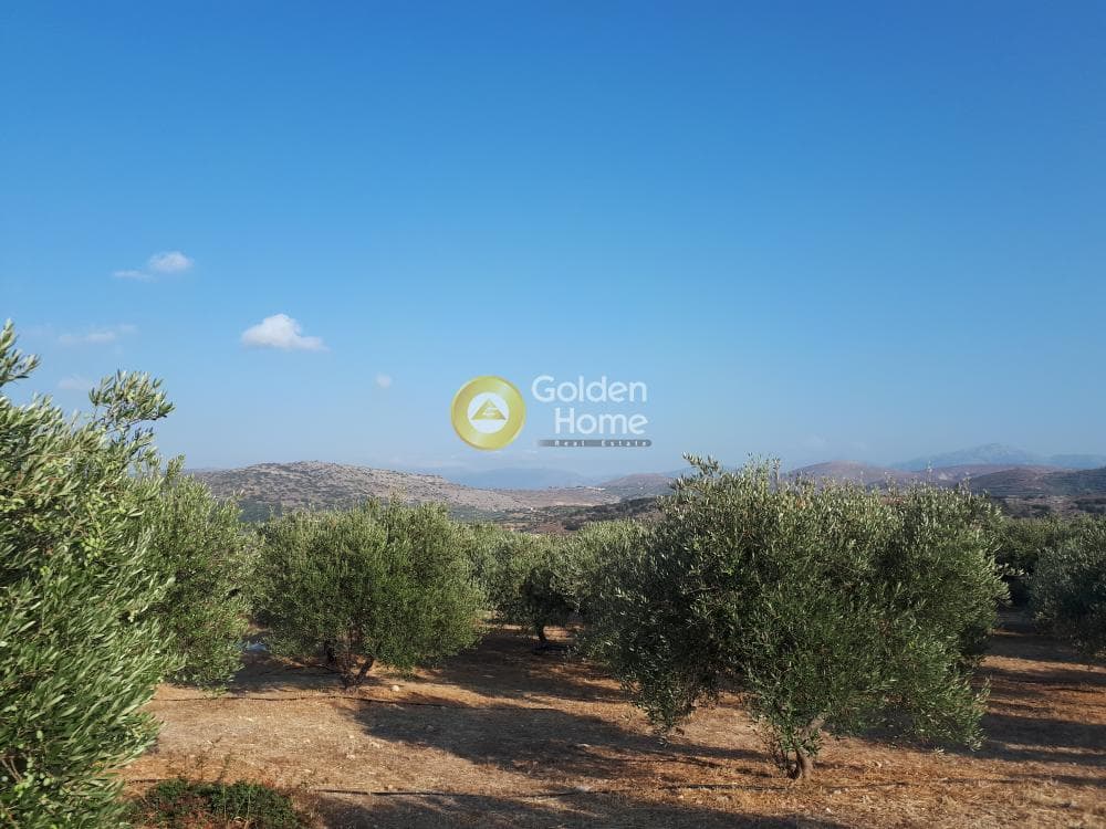 Οικόπεδο στην Σκοτεινό, Γούβες — Φωτογραφία 5 από 18