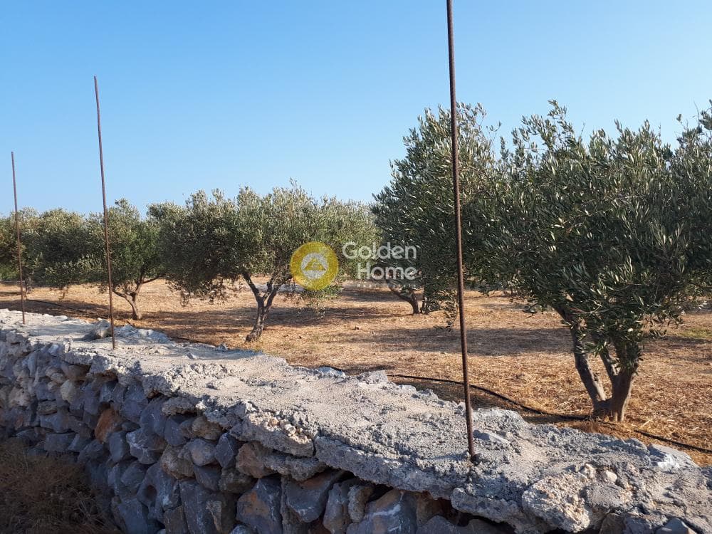 Οικόπεδο στην Σκοτεινό, Γούβες — Φωτογραφία 3 από 18