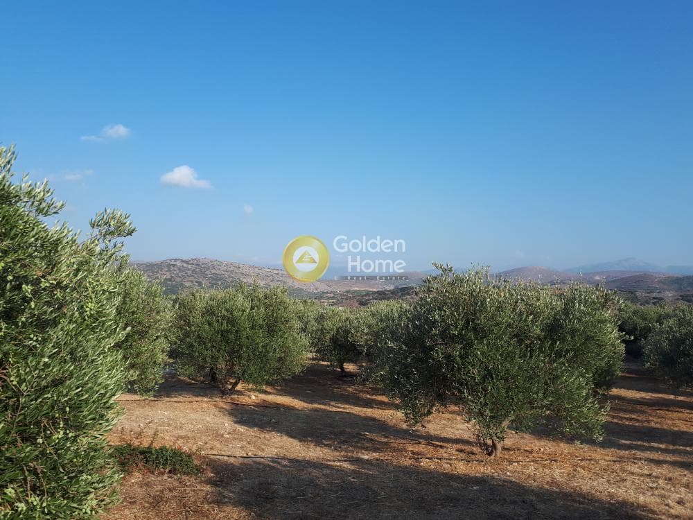 Οικόπεδο στην Σκοτεινό, Γούβες — Φωτογραφία 6 από 18