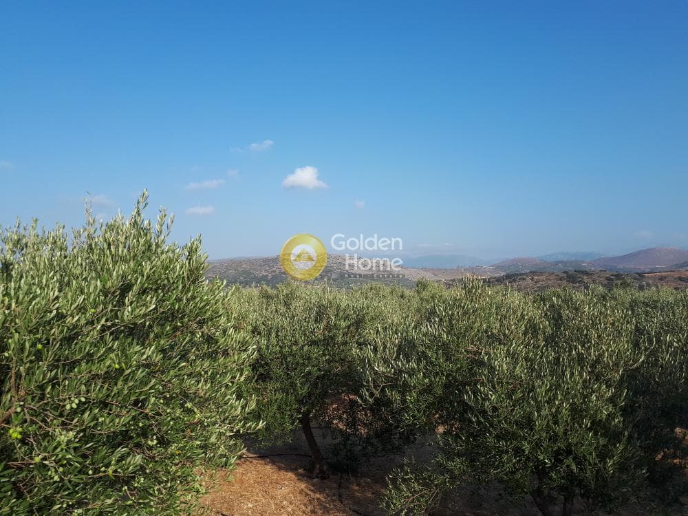 Οικόπεδο στην Σκοτεινό, Γούβες — Φωτογραφία 8 από 18