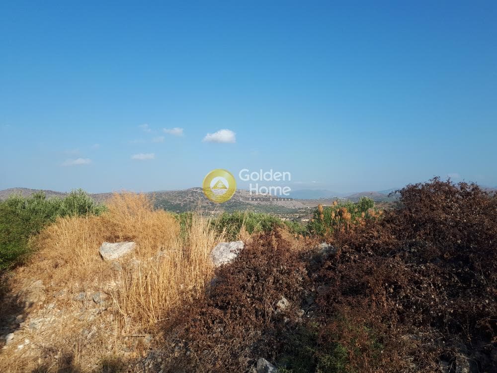 Οικόπεδο στην Σκοτεινό, Γούβες — Φωτογραφία 9 από 18
