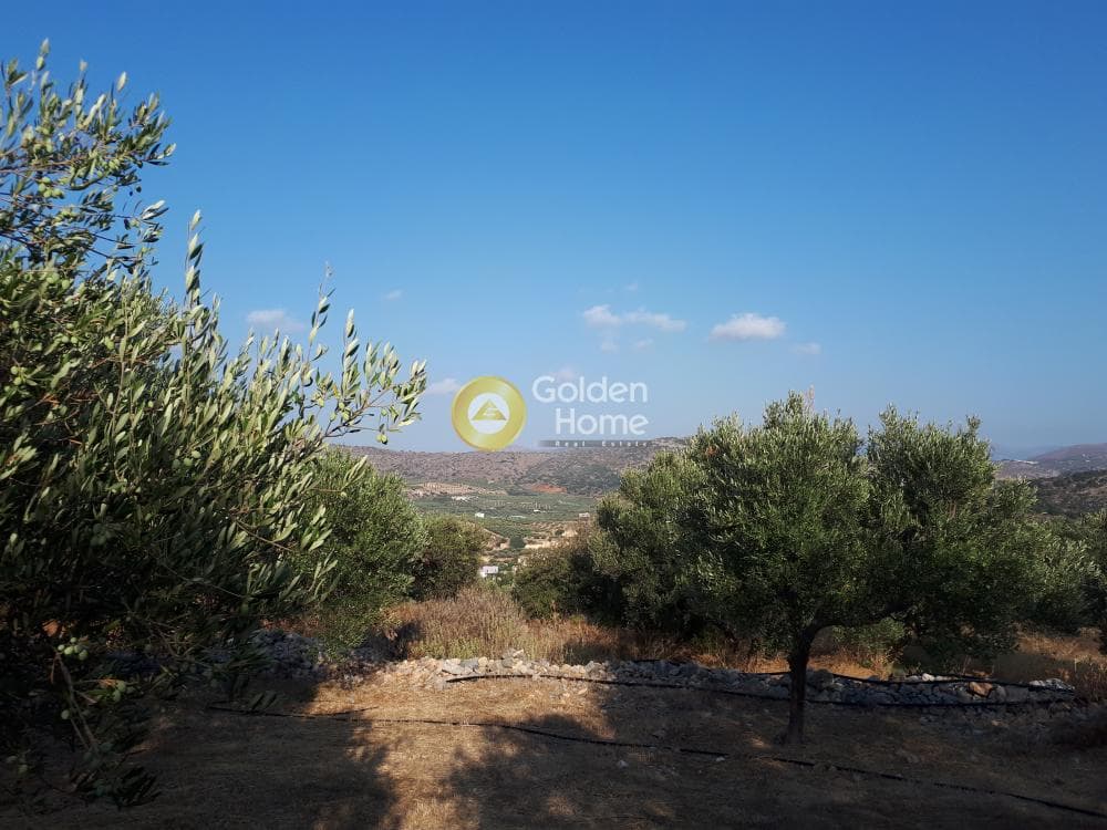Οικόπεδο στην Σκοτεινό, Γούβες — Φωτογραφία 12 από 18