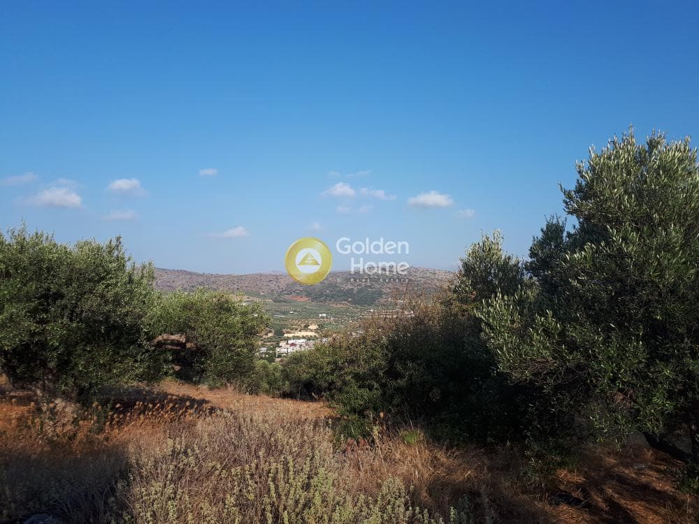 Οικόπεδο στην Σκοτεινό, Γούβες — Φωτογραφία 14 από 18