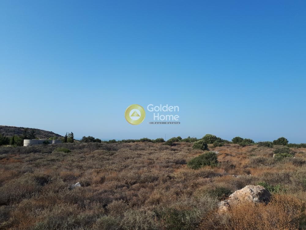 Οικόπεδο στην Σκοτεινό, Γούβες — Φωτογραφία 15 από 18