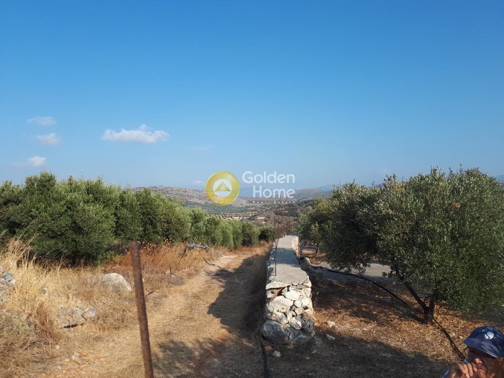Οικόπεδο στην Σκοτεινό, Γούβες — Φωτογραφία 16 από 18