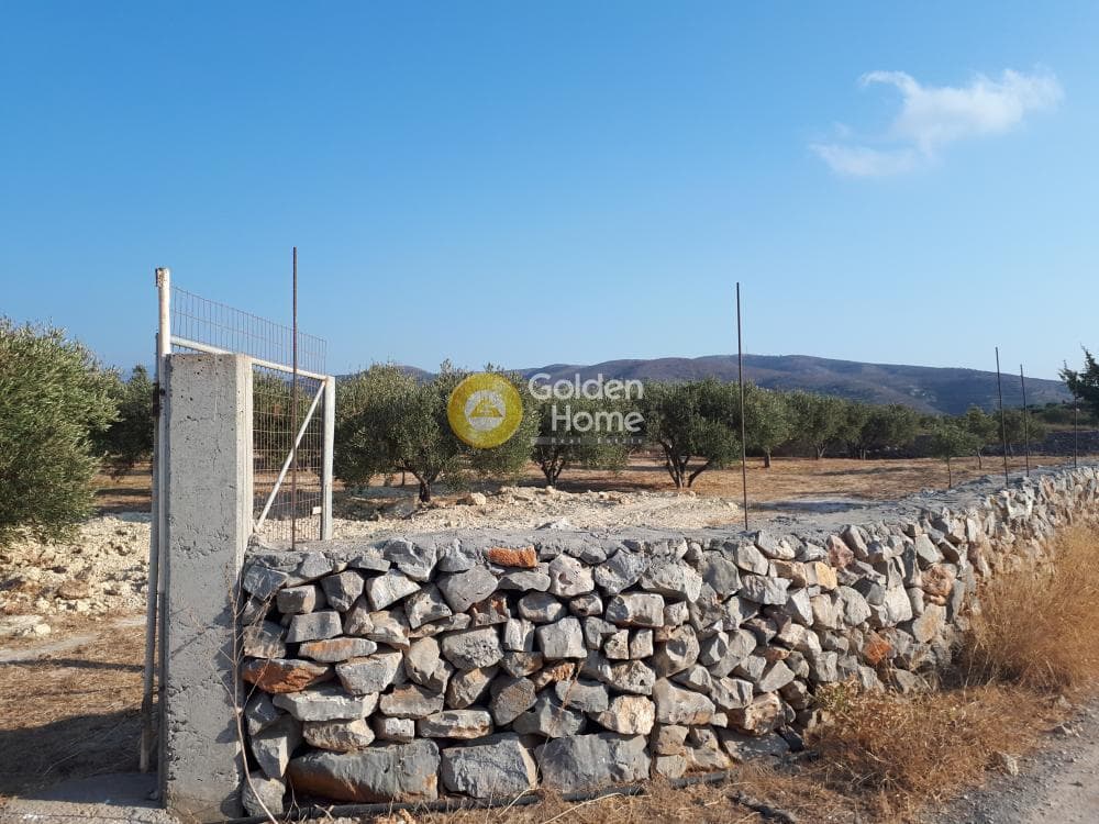 Οικόπεδο στην Σκοτεινό, Γούβες — Φωτογραφία 18 από 18