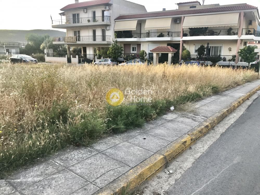 Οικόπεδο στην Νέα Ολυμπία, Καματερό — Φωτογραφία 4 από 31