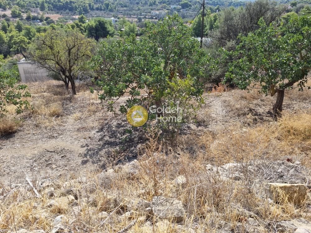 Οικόπεδο στην Μεσαγρός, Αίγινα — Φωτογραφία 3 από 7