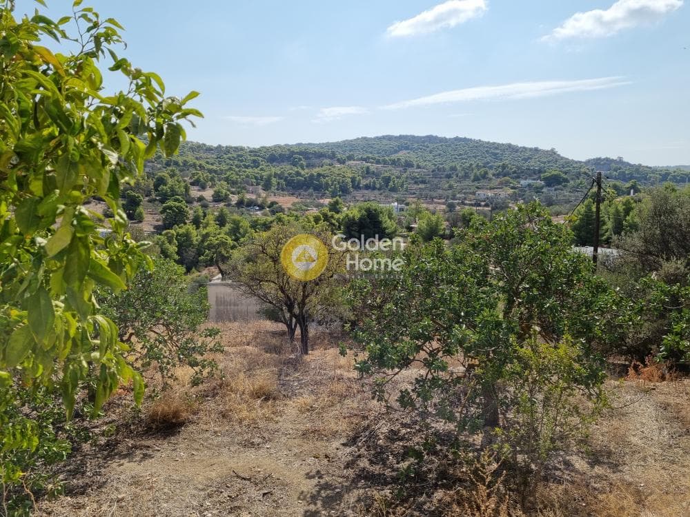 Οικόπεδο στην Μεσαγρός, Αίγινα — Φωτογραφία 4 από 7