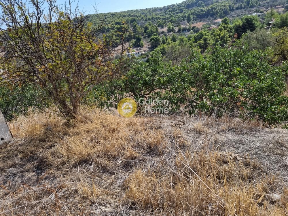 Οικόπεδο στην Μεσαγρός, Αίγινα — Φωτογραφία 6 από 7