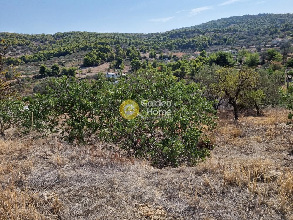 Οικόπεδο στην Μεσαγρός, Αίγινα — Φωτογραφία 7 από 7