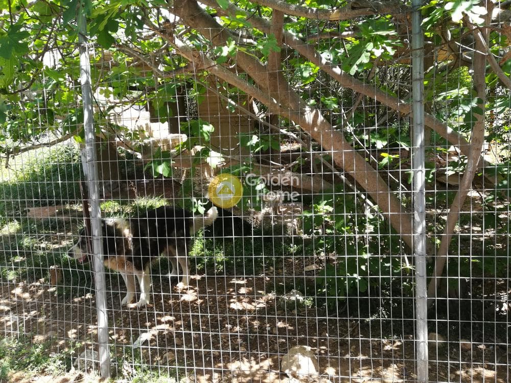 Building Plot in Kalivia, Kalivia Thorikou — Photo 1 of 4