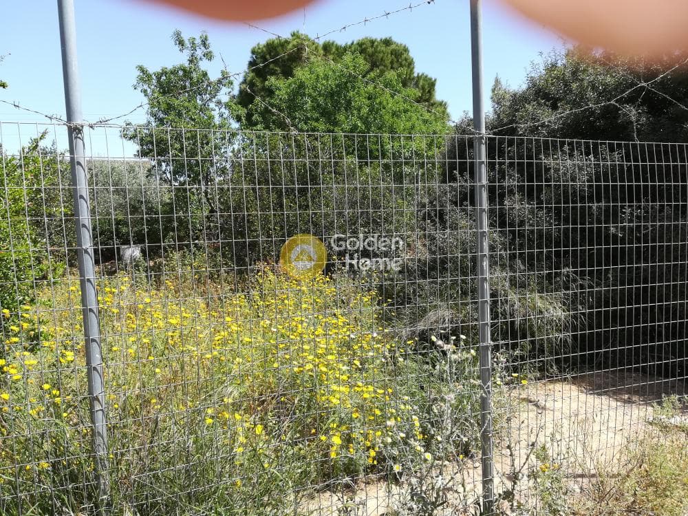 Building Plot in Kalivia, Kalivia Thorikou — Photo 3 of 4