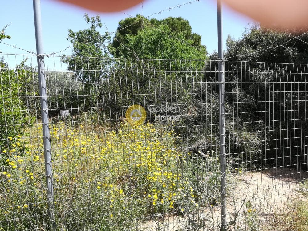 Building Plot in Kalivia, Kalivia Thorikou — Photo 4 of 4