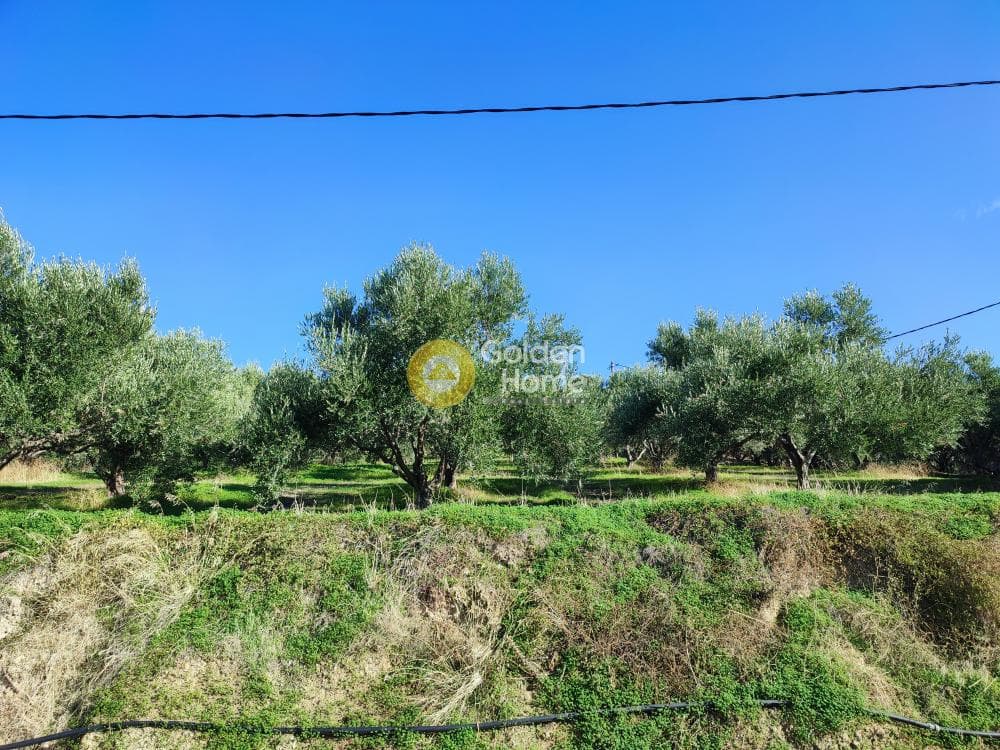Building Plot in Athanatoi, Temenos — Photo 9 of 12