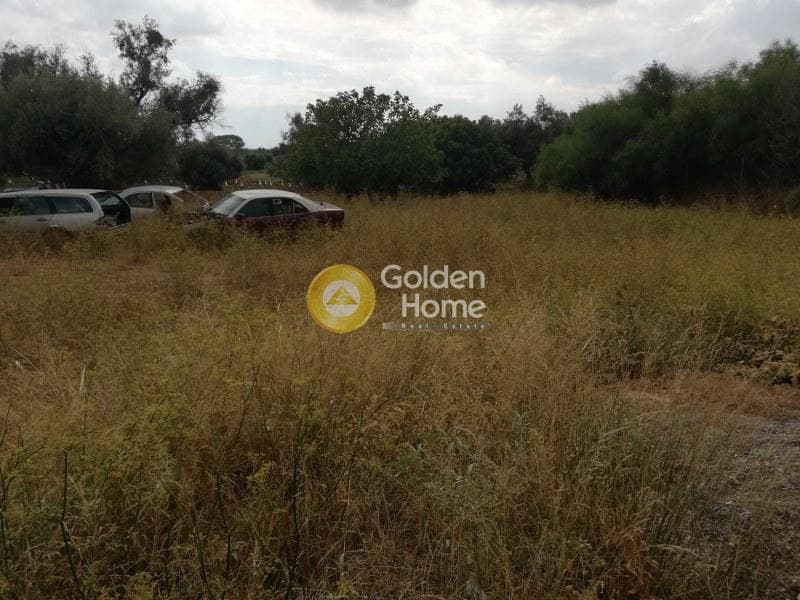 Αγροτεμάχιο στην Μποφίλια, Μεταμόρφωση — Φωτογραφία 2 από 6