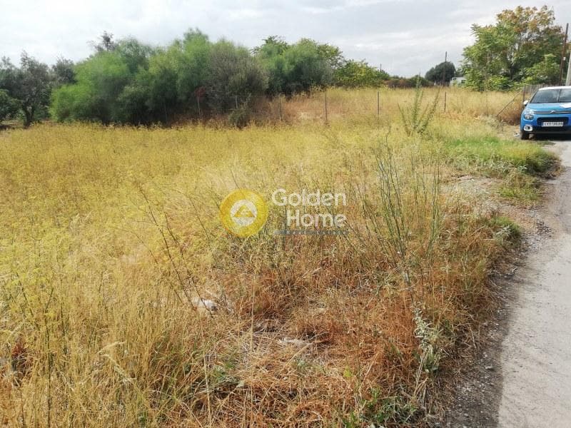 Αγροτεμάχιο στην Μποφίλια, Μεταμόρφωση — Φωτογραφία 3 από 6