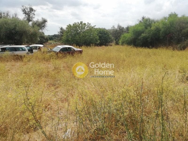 Αγροτεμάχιο στην Μποφίλια, Μεταμόρφωση — Φωτογραφία 5 από 6
