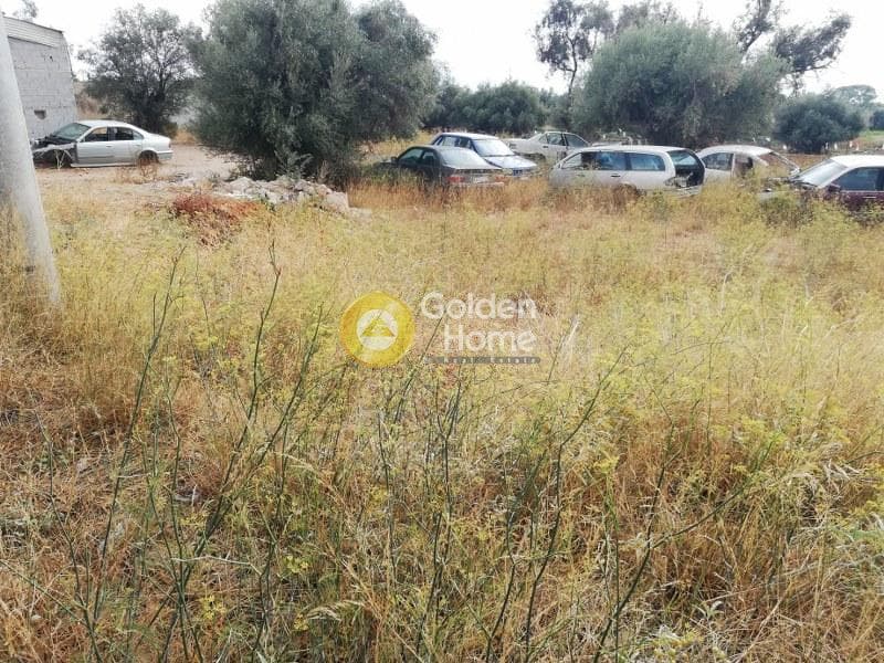 Αγροτεμάχιο στην Μποφίλια, Μεταμόρφωση — Φωτογραφία 6 από 6