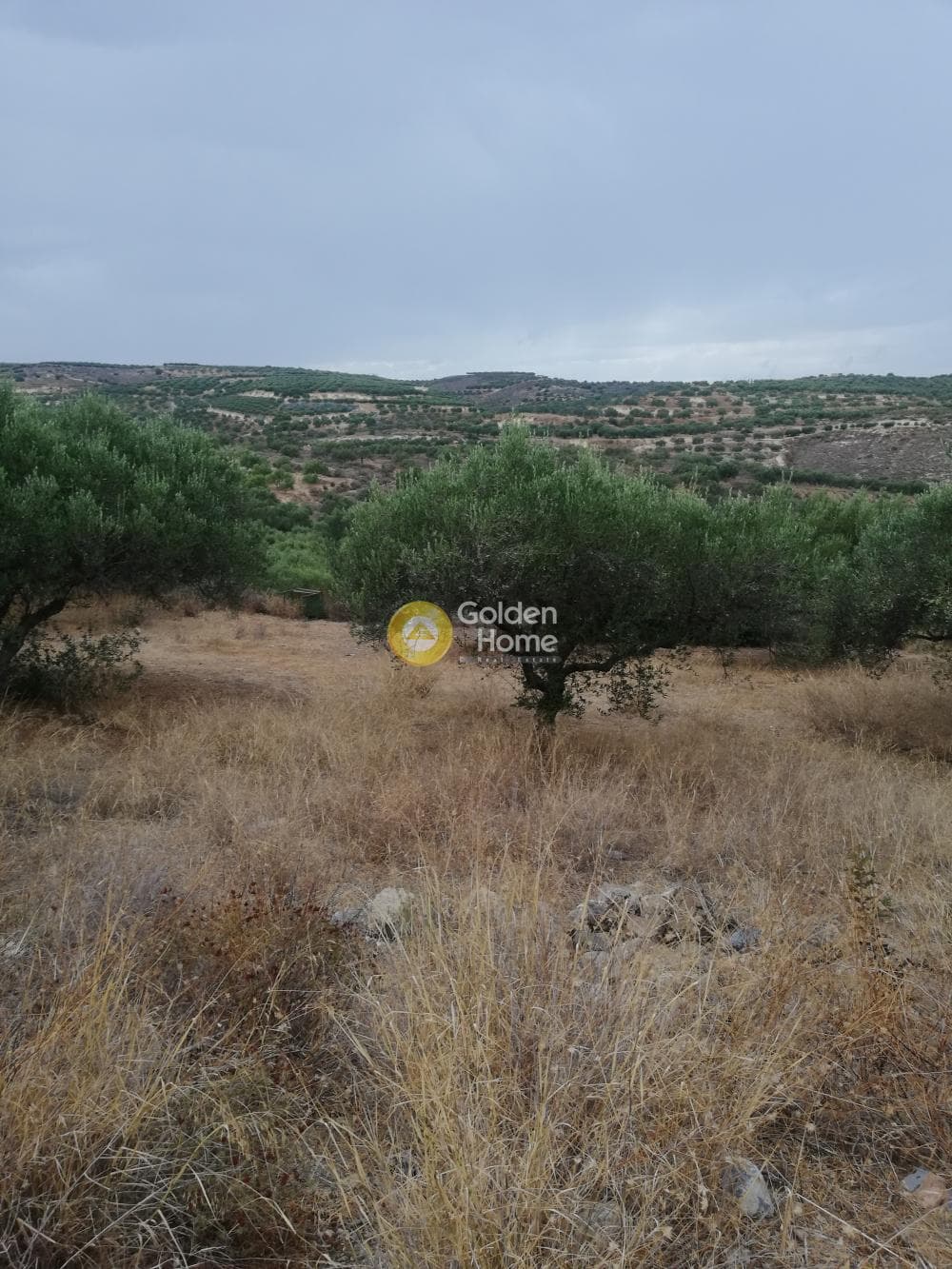 Οικόπεδο στην Σκοτεινό, Γούβες — Φωτογραφία 1 από 20