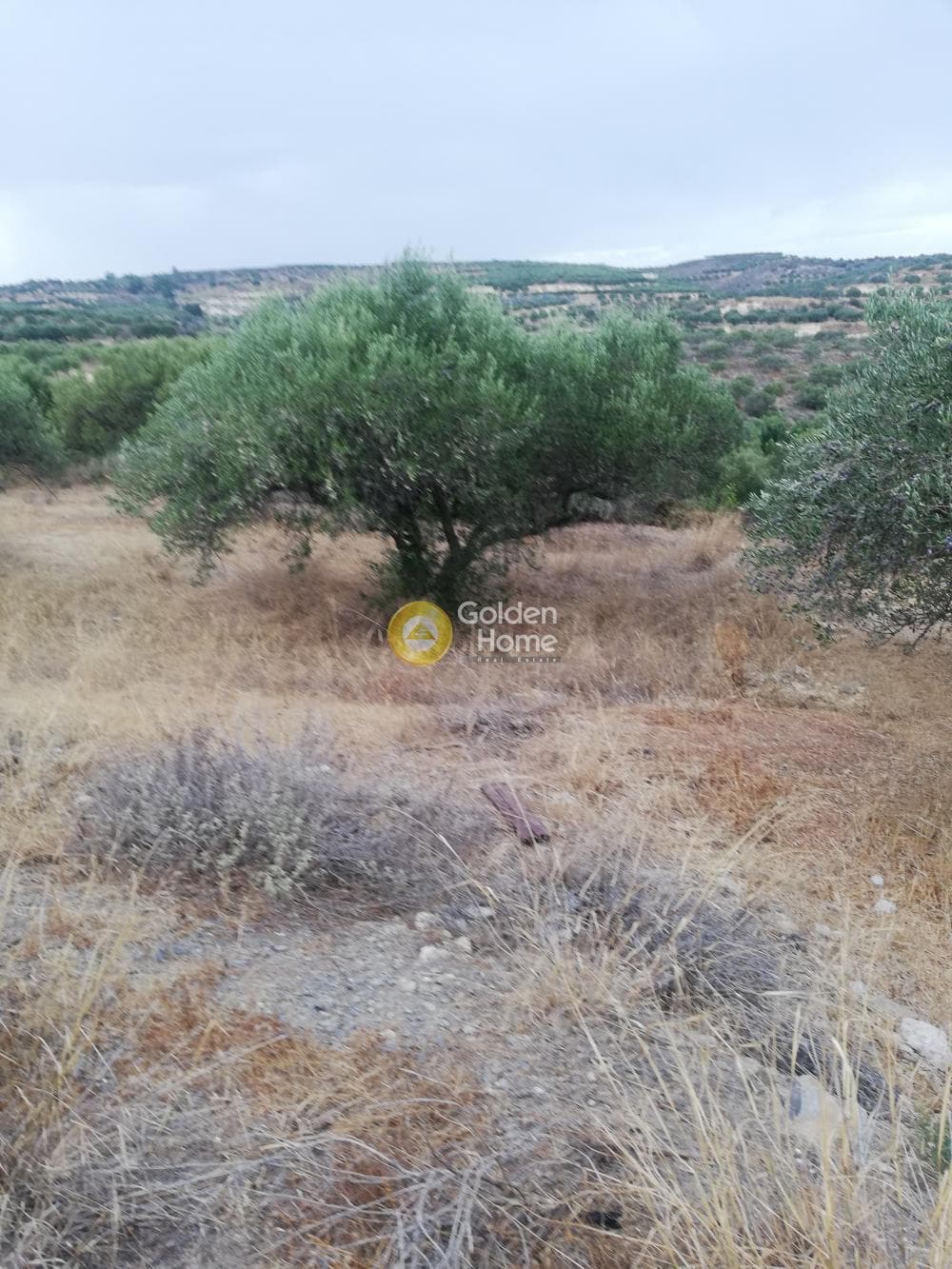 Οικόπεδο στην Σκοτεινό, Γούβες — Φωτογραφία 2 από 20