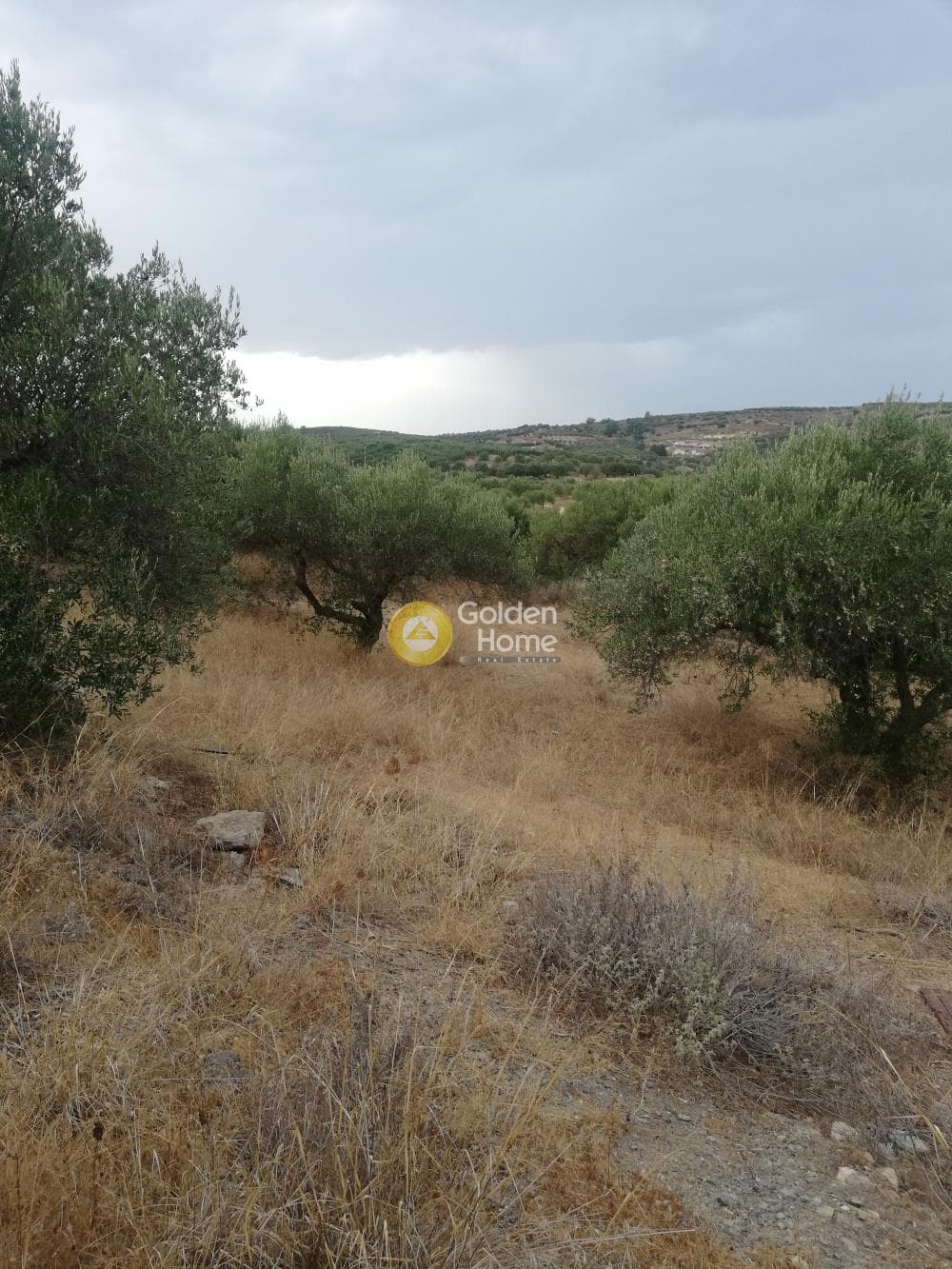 Οικόπεδο στην Σκοτεινό, Γούβες — Φωτογραφία 3 από 20