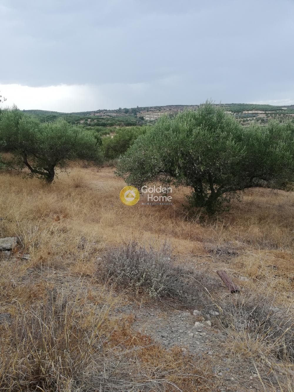 Οικόπεδο στην Σκοτεινό, Γούβες — Φωτογραφία 4 από 20